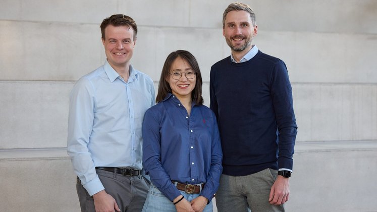 Assemblean: Vom Prototyp zum greifbaren Produkt