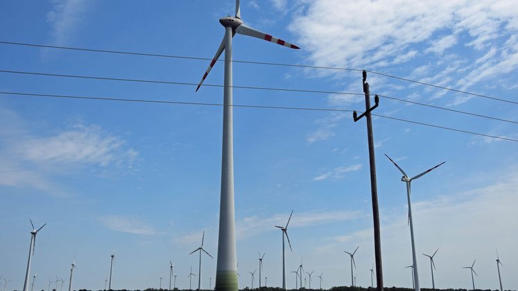 Landesregierung in Niederösterreich Klima- und Energiefahrplan beschlossen