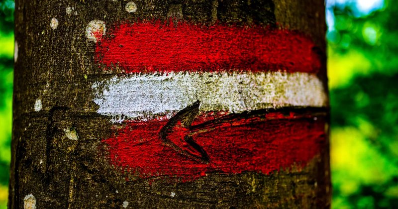 Wanderer in Gosau gerettet