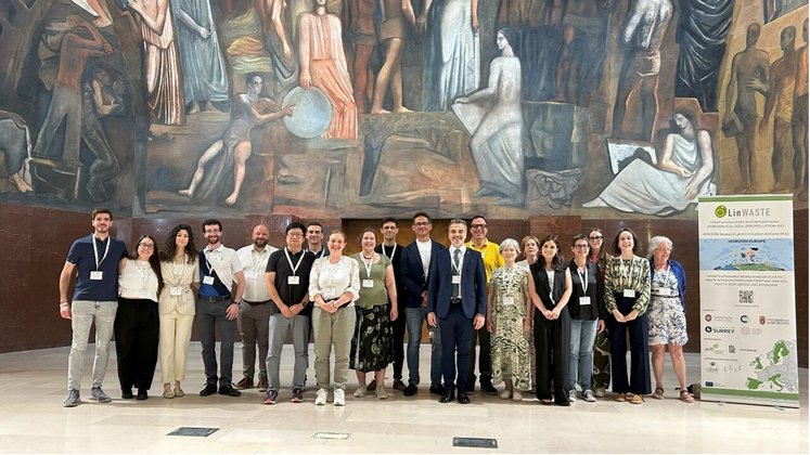 Neues europäisches Forschungsprojekt OLinWASTE Olivenabfälle für grüne (Energie-) Lösungen