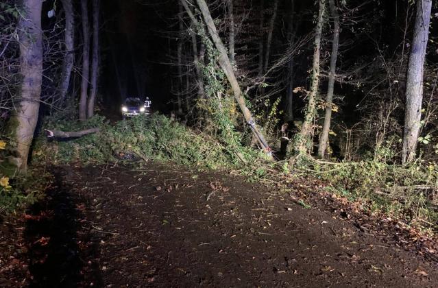 Haan: Schwerer Unfall - Baum stürzt auf Radfahrer - Junge in Lebensgefahr