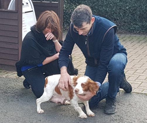 Dog stolen six years ago and forced to breed is reunited with family