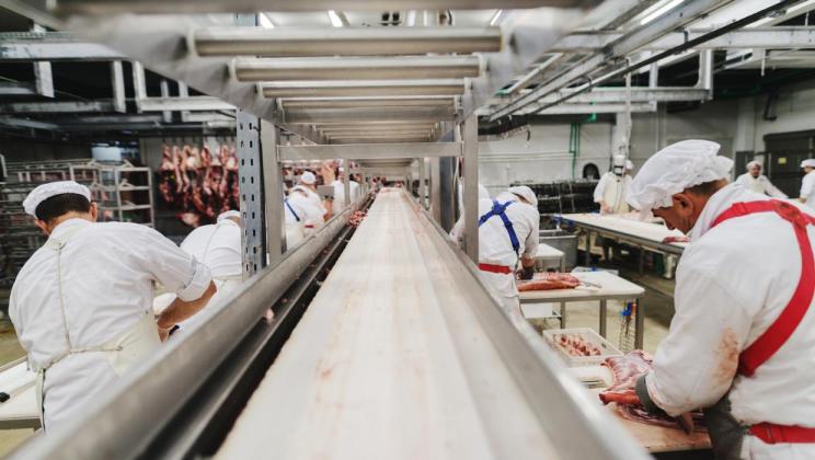 New study into Covid outbreaks a meat plants