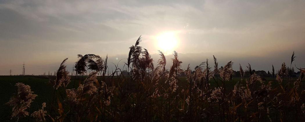 Schönborn über Hoffnung für zerbrechliche Welt