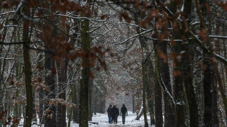 Schneeregen in Berlin und Brandenburg