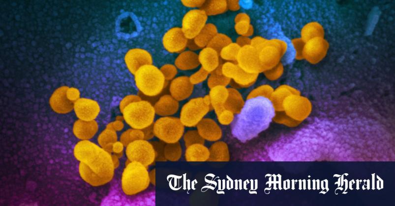 New virus variants underline need for strong public health measures