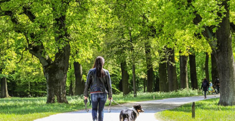 Bremen ist zu mehr als zehn Prozent grün
