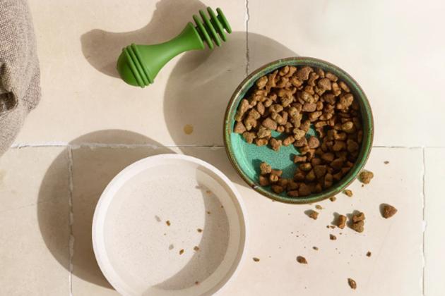Best wet and dry dog food brands