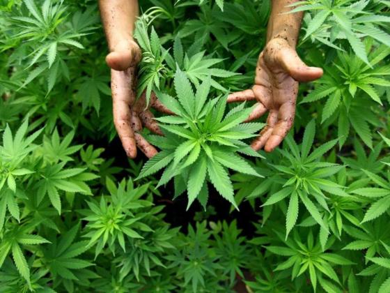 Öffentlich Cannabis geraucht: Geldbuße trotz Erlaubnisschein