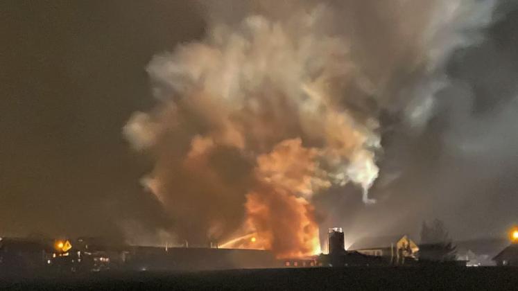 Nach Brand in Thurgauer Schweinestall: Tierschutzorganisation Peta reicht Strafanzeige ein