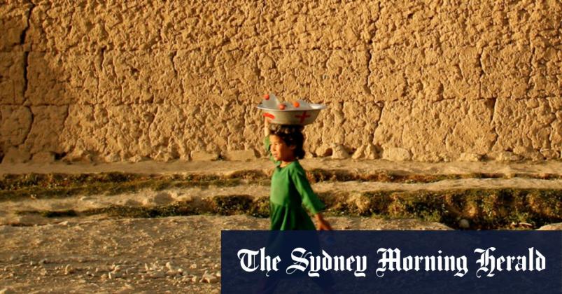 Academic tussle as ancient relics from black market brought into country
